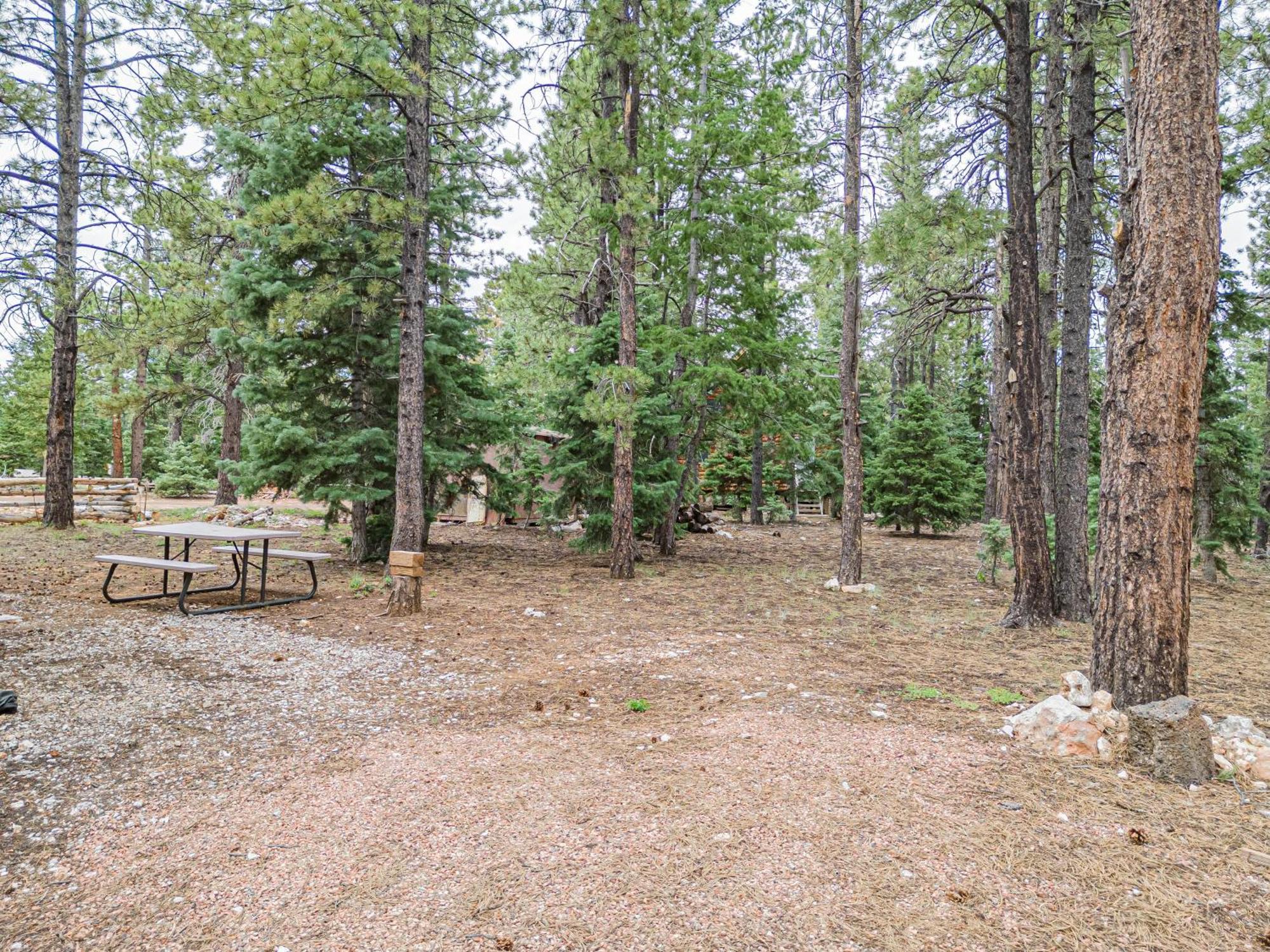 Villa Hillside Hideaway Duck Creek Village Esterno foto
